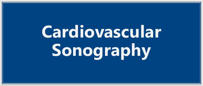 cardiovascular sonography
